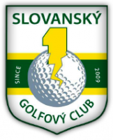 Driving Plzeň s.r.o. - Logo